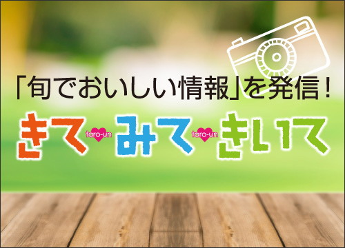 きてみてきいて