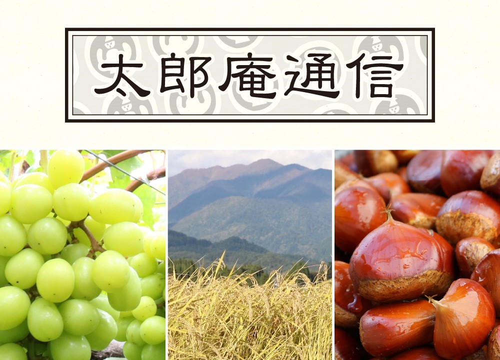 太郎庵通信バックナンバー